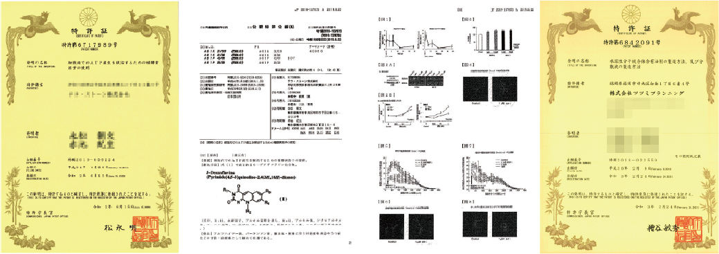 fig1